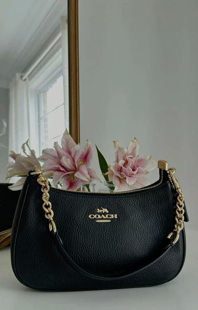 Coach Teri Bag with Brand Box- Same as Original