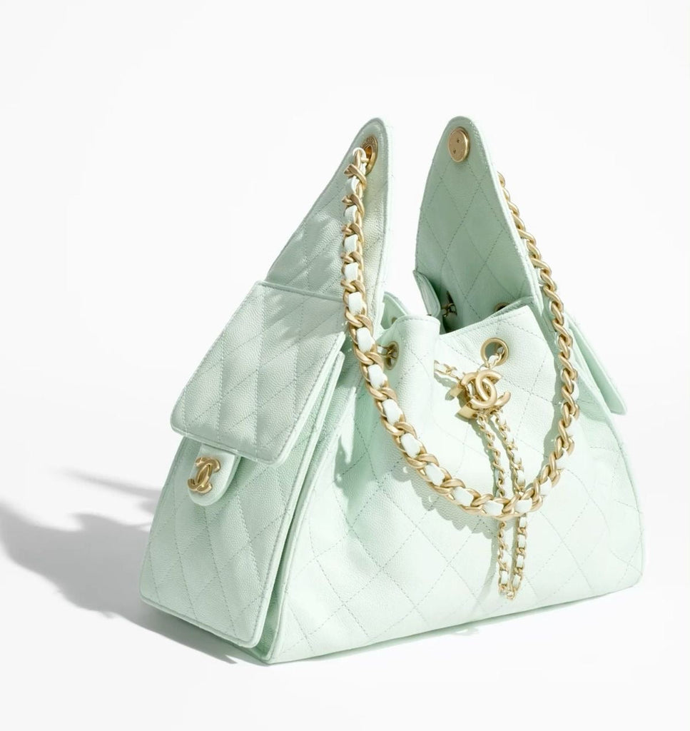 CHANEL 25 Hobo Small with Brand Box